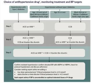 Choice of antihypertensive drug monitoring treatment and BP targets